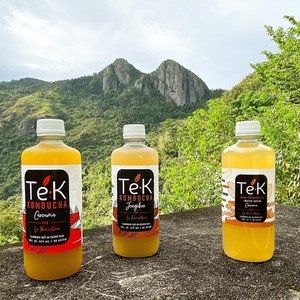 Té•K KOMBUCHA (1)