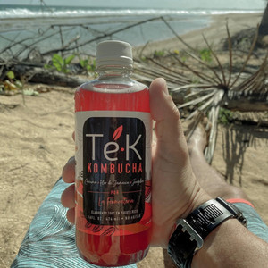 Té•K KOMBUCHA (12)