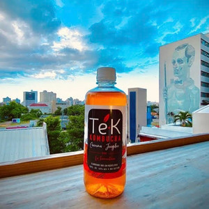 Té•K KOMBUCHA (5)